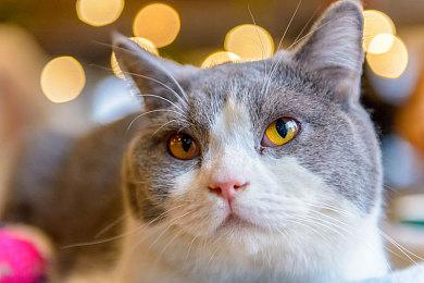 《使命召唤20》第2赛季新僵尸模式 联动战锤40K